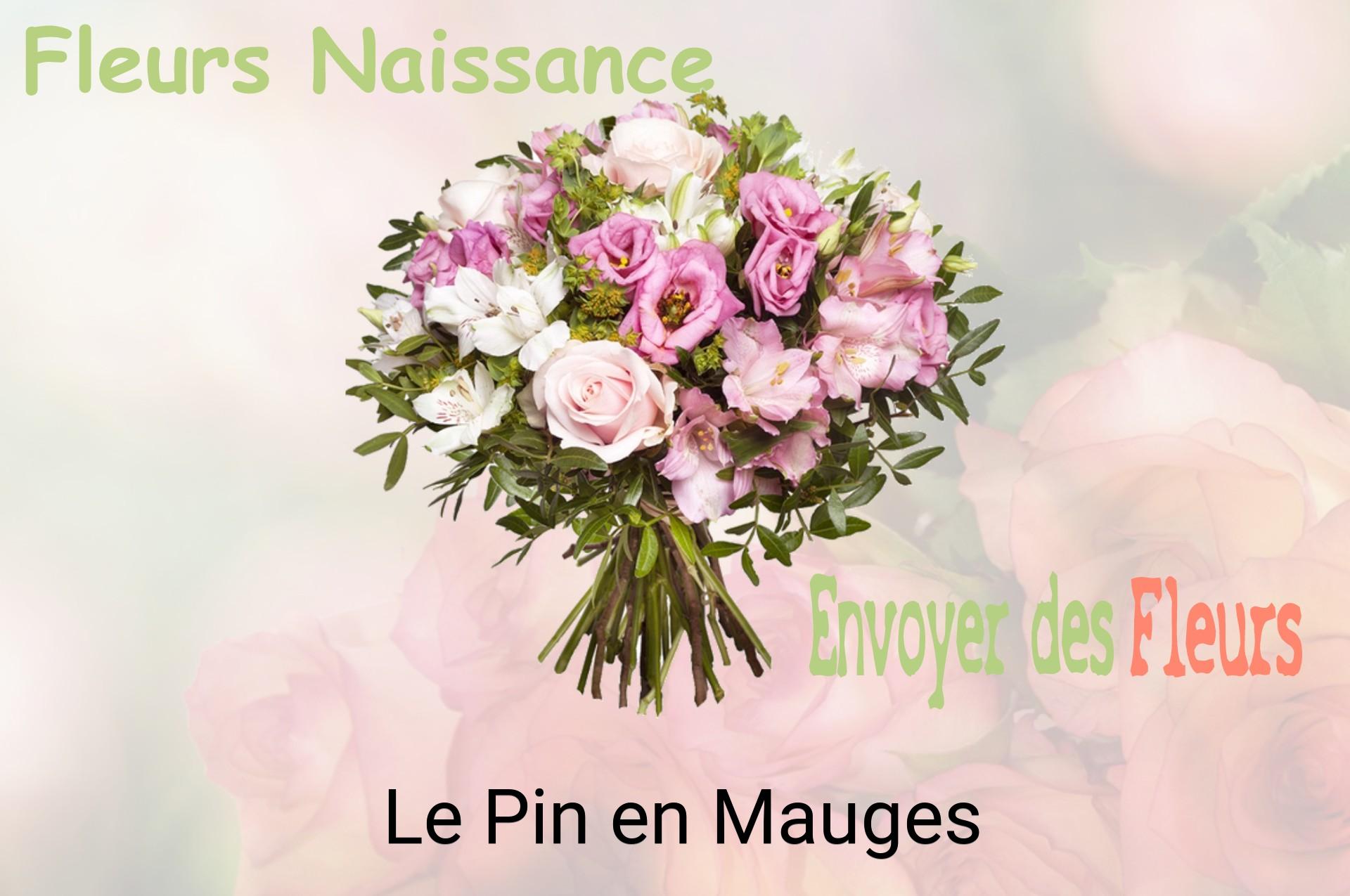 Bouquet de fleurs de naissance livré à Le Pin-en-Mauges